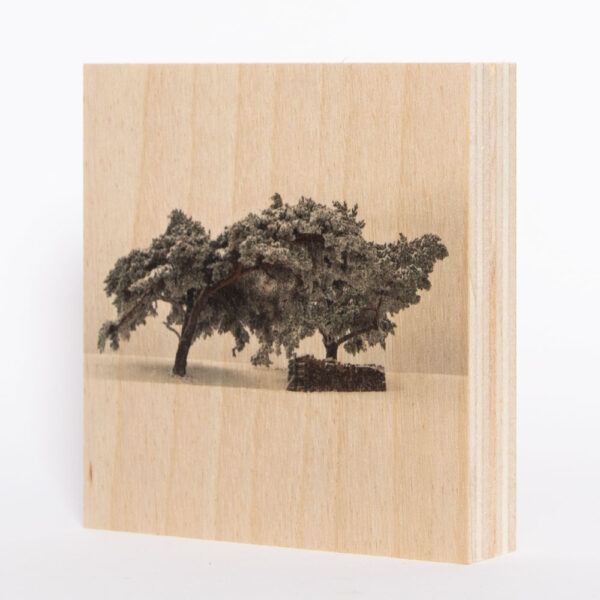 Eduardshöhe Freiburg (Schwarzwald) [1] | Holzbild<br>10 x 10 x 1,9 cm (BxHxT)