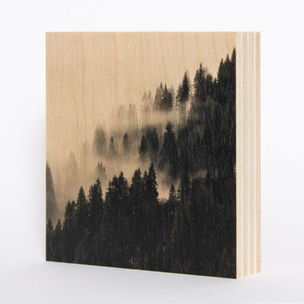 Nebelwald Schwarzwald [6] | Holzbild<br>10 x 10 x 1,9 cm (BxHxT)